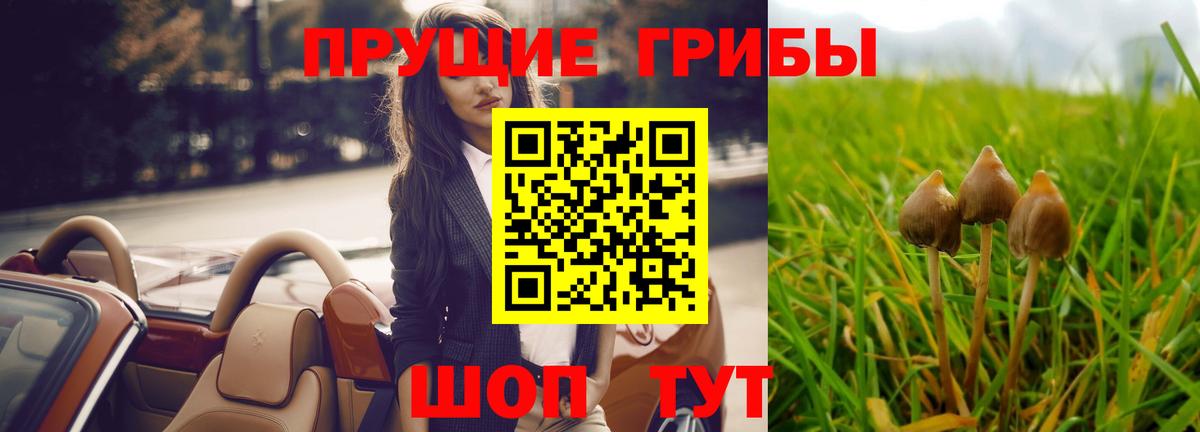 Псилоцибиновые грибы GOLDEN TEACHER Калининград