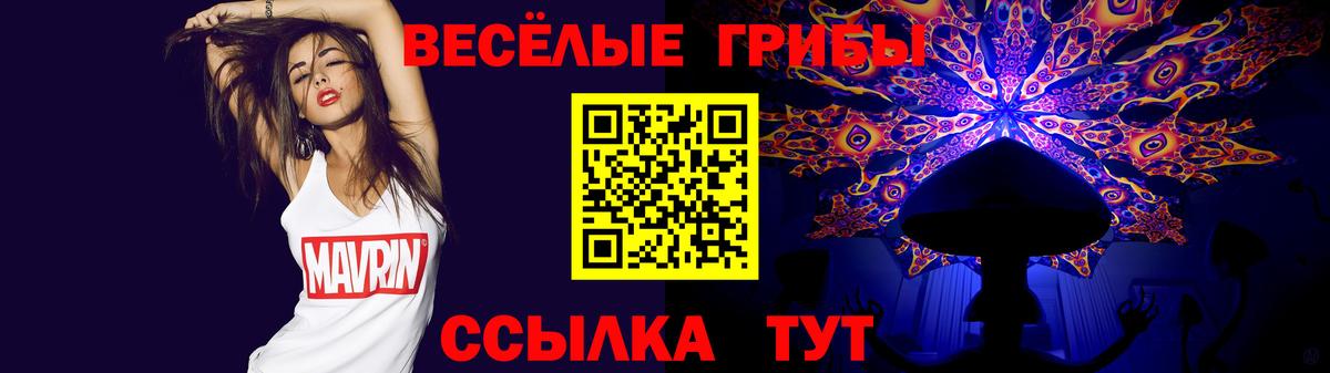 Калининград  Галлюциногенные грибы GOLDEN TEACHER  Вход с VPN 